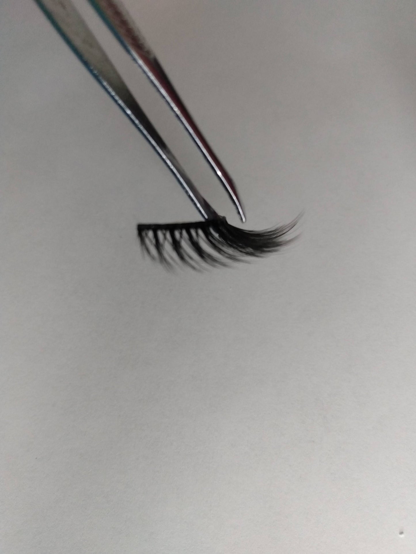 Keep it Cute Lashes