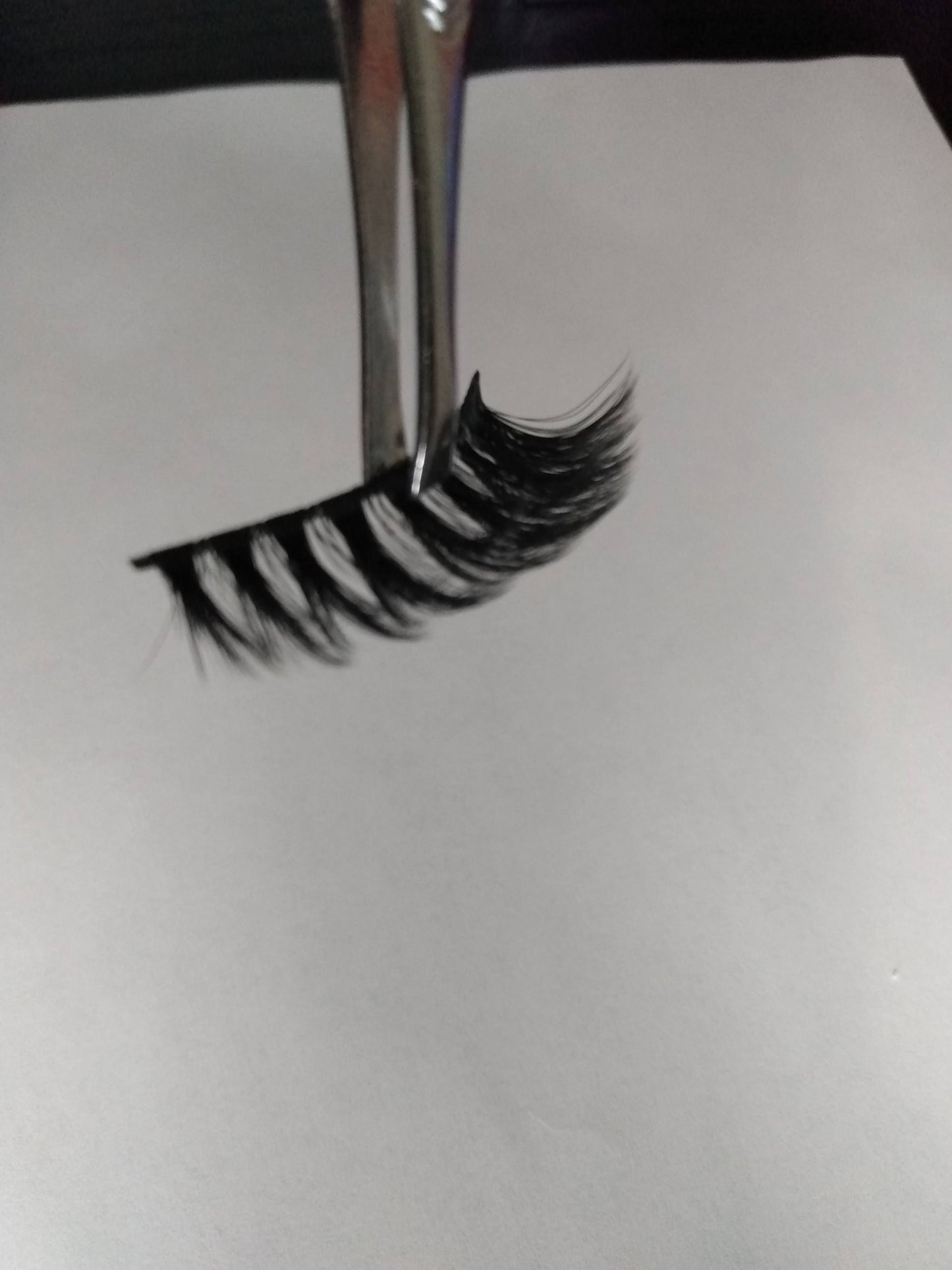 Trophy Lashes